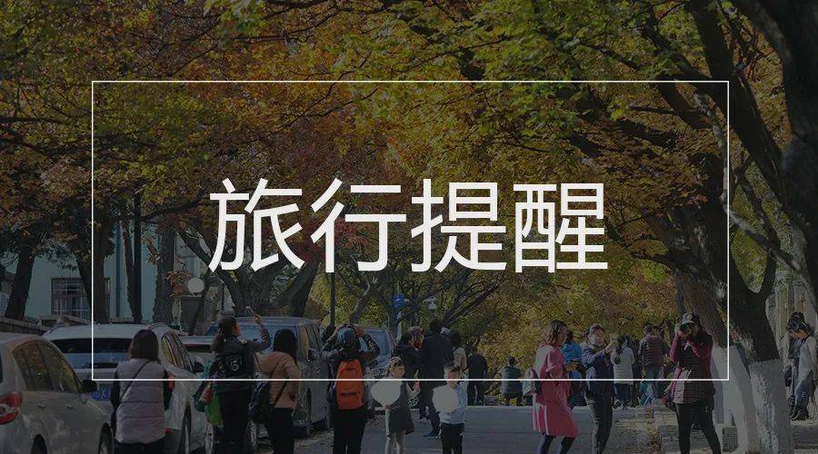 暫不恢復旅行社及在線旅游企業出入境團隊旅游業務!
