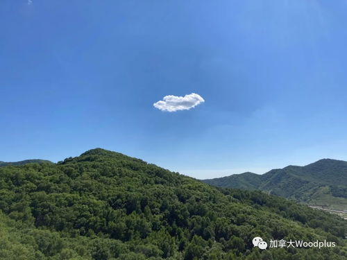 海坨山國際旅游度假區木屋翻新項目