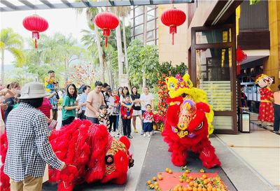 中國旅游集團在海南多板塊業務實現新春開門紅