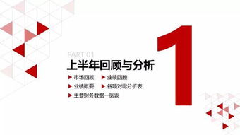 旅游業龍頭 中國國旅財務分析報告