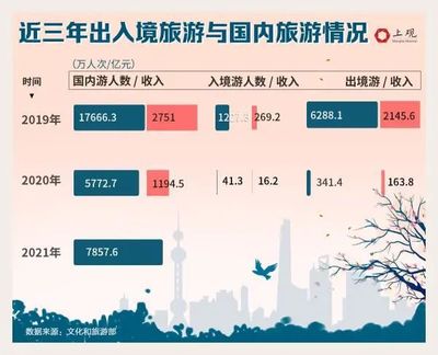 疫情延綿兩年,全國旅行社數量為何不降反升?