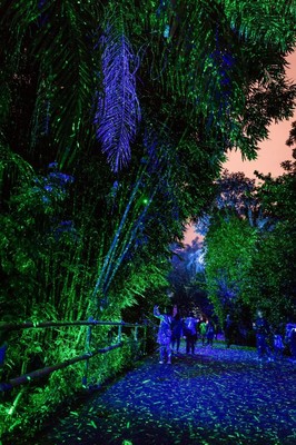 夜間旅游產(chǎn)品是景區(qū)發(fā)展的新藍海!《中國旅游景區(qū)發(fā)展報告(2020)》發(fā)布