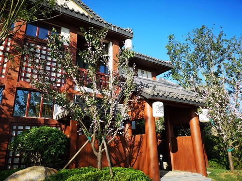 崇明南通兩地網友集中開展采風活動