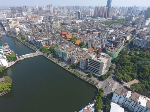 十天建一城,助力東湖 三看 活動順利舉行