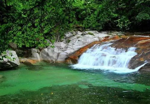 羅增斌在督導(dǎo)光霧山aaaaa級旅游景區(qū)創(chuàng)建工作時強調(diào) 打造旅游金字招牌 推動全域旅游發(fā)展